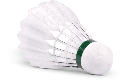 Victor New Carbonsonic NCS 3